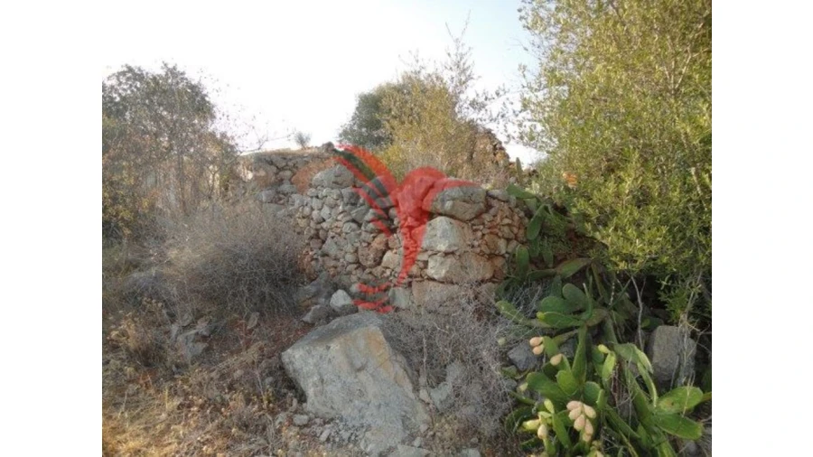 Quinta T1 para Venda em Algoz e Tunes Foto 7