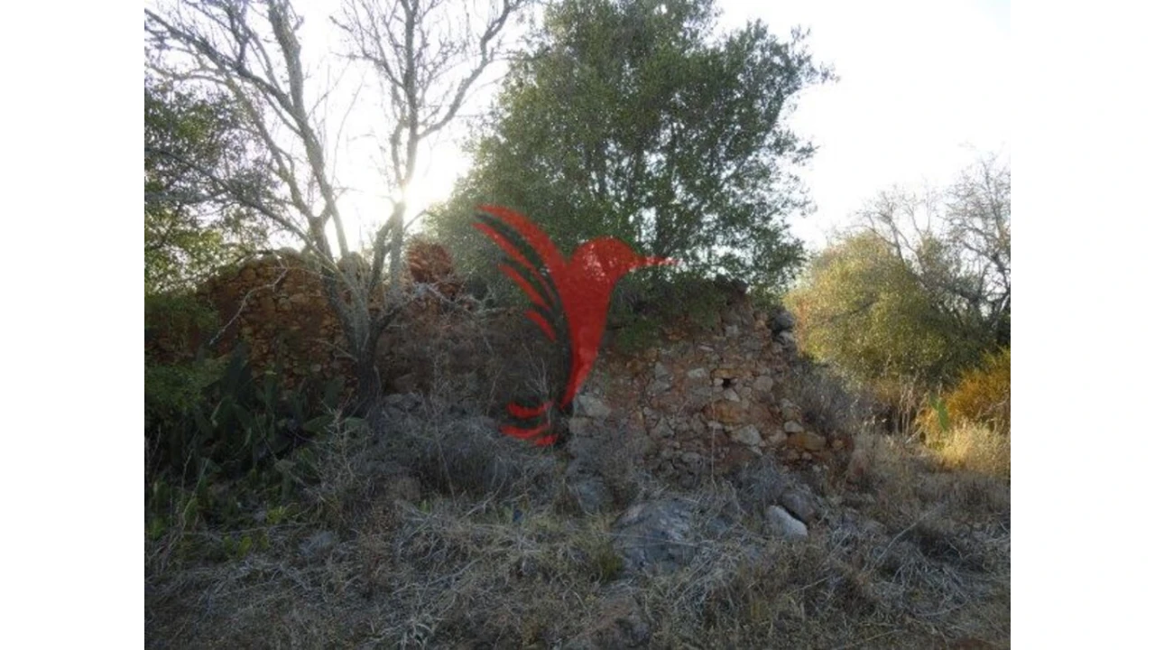 Quinta T1 para Venda em Algoz e Tunes Foto 6