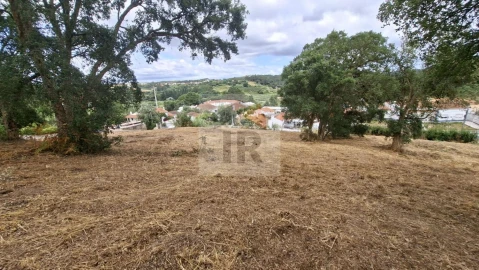 Terreno para Venda em Salir de Matos