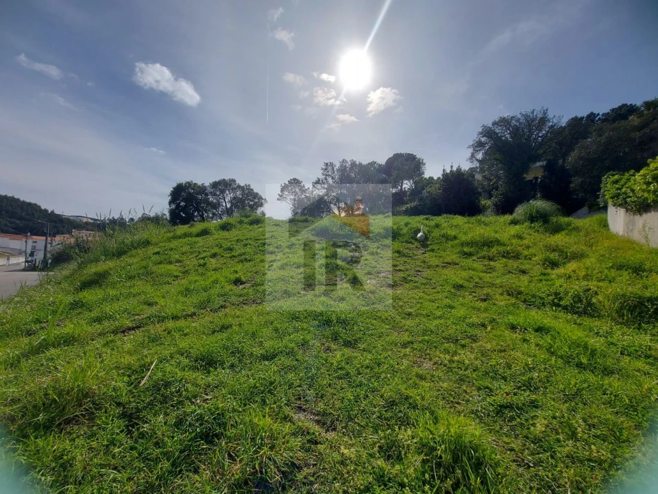 Terreno para Venda em Salir de Matos Foto 19