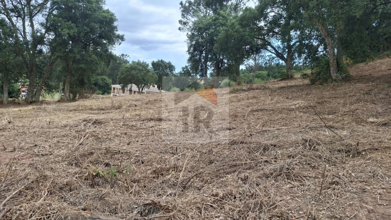 Terreno para Venda em Salir de Matos Foto 8