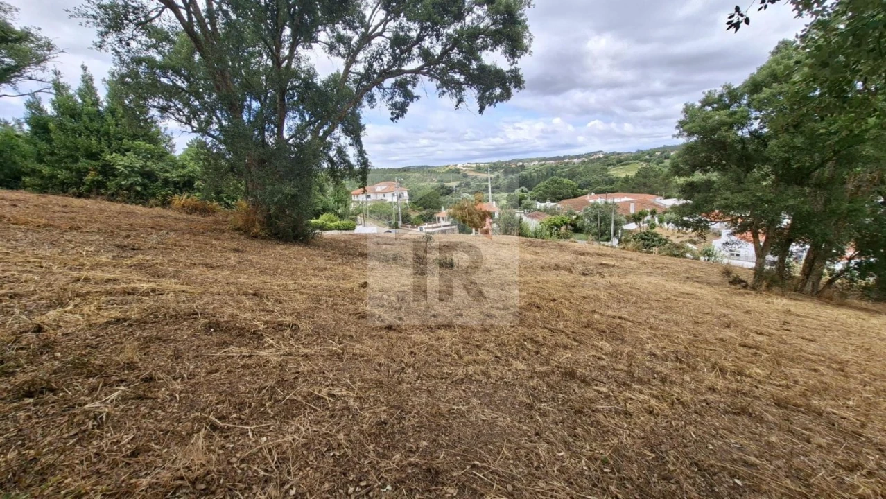 Terreno para Venda em Salir de Matos Foto 9