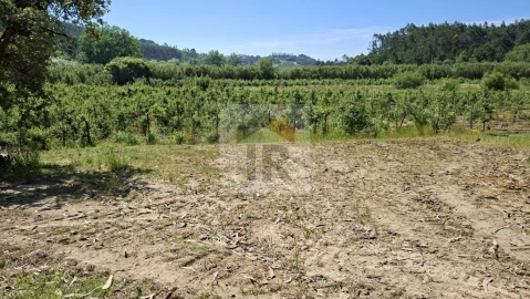 Terreno para Venda em Salir de Matos