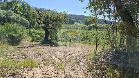 Terreno para Venda em Salir de Matos