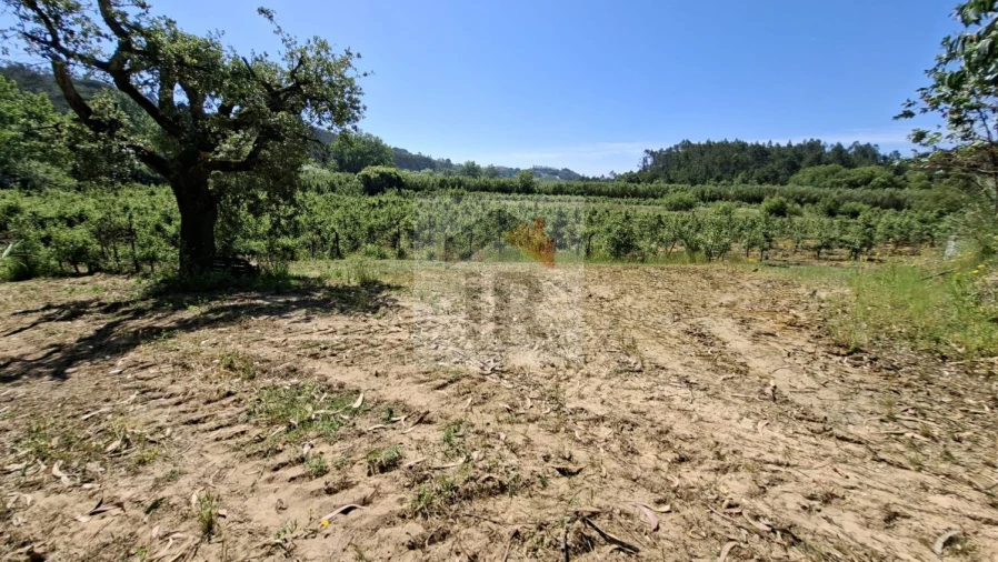 Terreno para Venda em Salir de Matos Foto 8