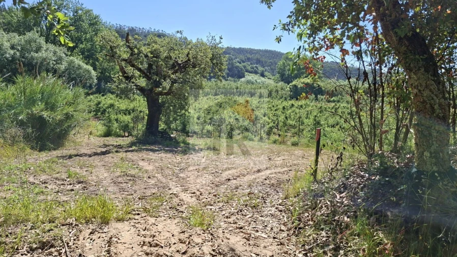 Terreno para Venda em Salir de Matos Foto 7