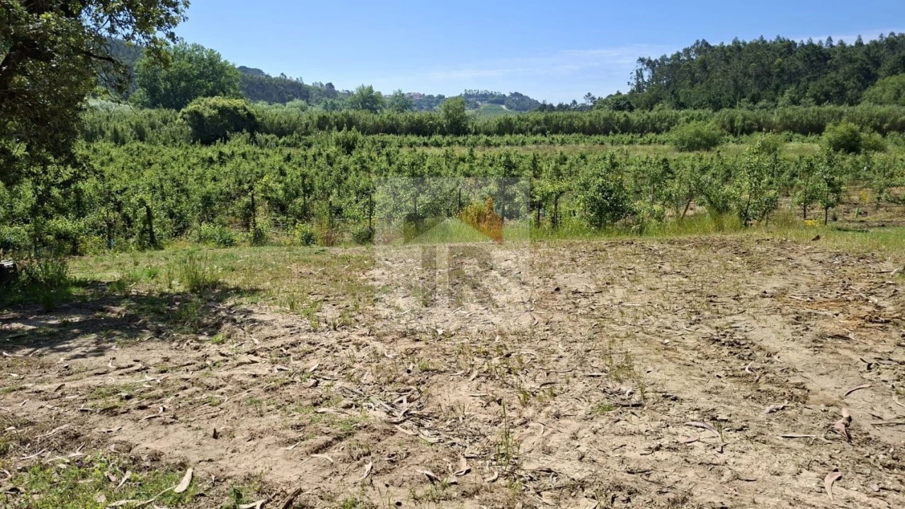 Terreno para Venda em Salir de Matos Foto 2
