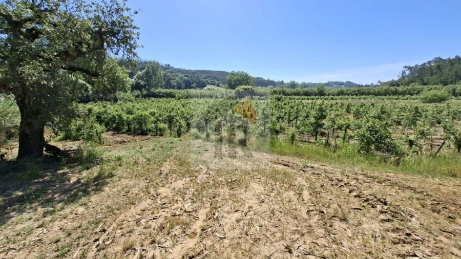 Terreno para Venda em Salir de Matos