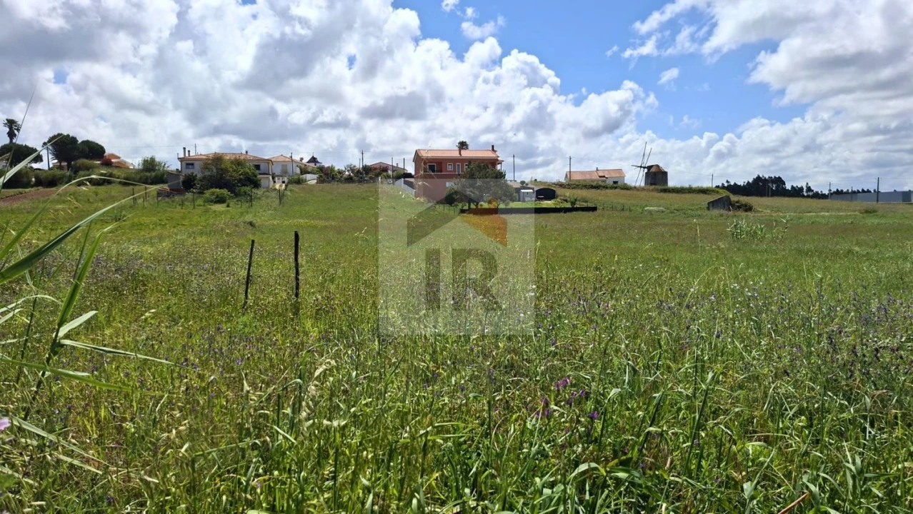 Terreno para Venda em Tornada e Salir do Porto Foto 4