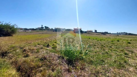 Terreno para Venda em Tornada e Salir do Porto