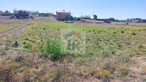 Terreno para Venda em Tornada e Salir do Porto
