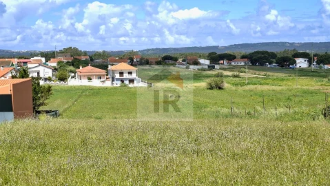 Terreno para Venda em Tornada e Salir do Porto