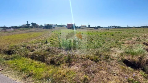 Terreno para Venda em Tornada e Salir do Porto