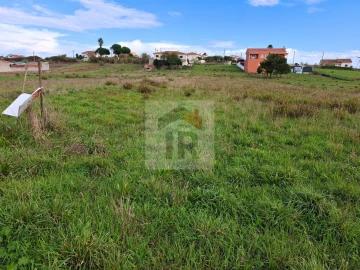 Terreno para Venda em Tornada e Salir do Porto