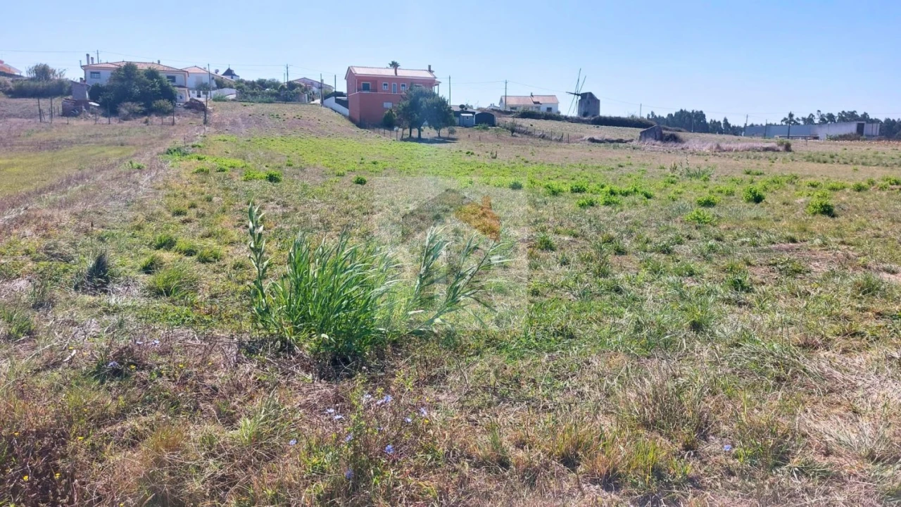 Terreno para Venda em Tornada e Salir do Porto Foto 8