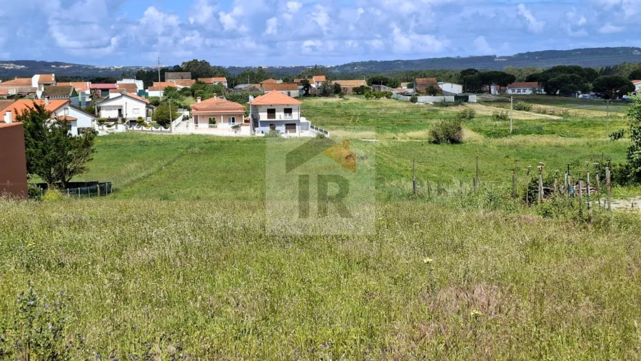 Terreno para Venda em Tornada e Salir do Porto Foto 2