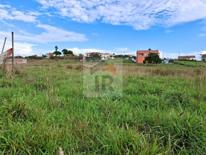 Terreno para Venda em Tornada e Salir do Porto Foto 7