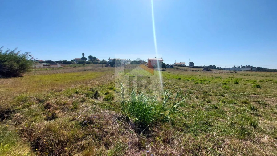 Terreno para Venda em Tornada e Salir do Porto Foto 19