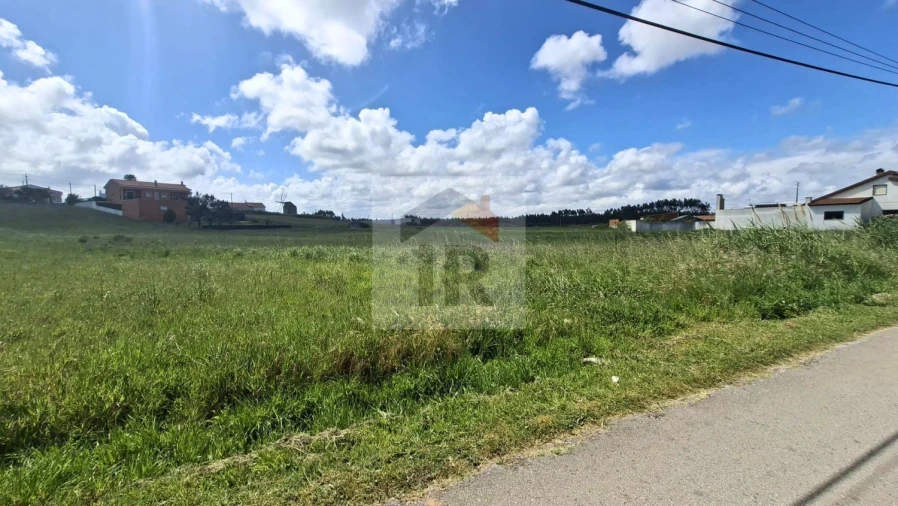 Terreno para Venda em Tornada e Salir do Porto Foto 6