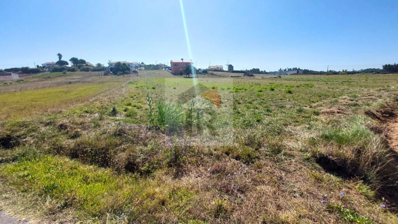 Terreno para Venda em Tornada e Salir do Porto Foto 18