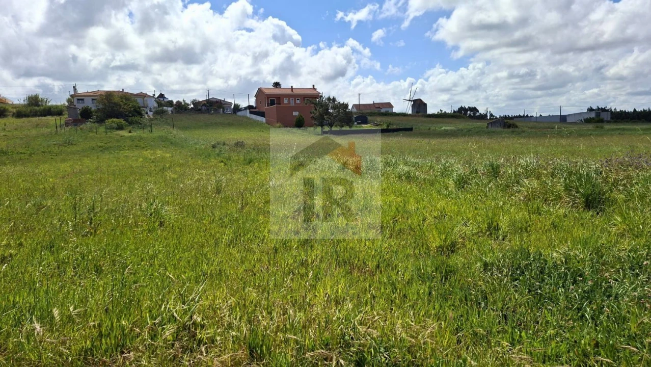 Terreno para Venda em Tornada e Salir do Porto Foto 5