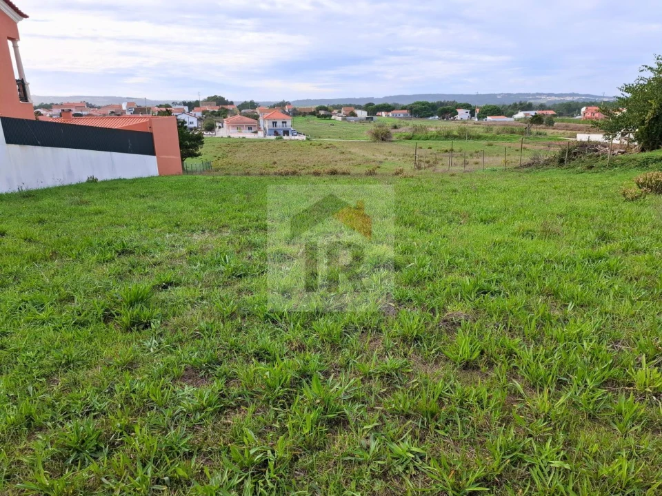 Terreno para Venda em Tornada e Salir do Porto Foto 17