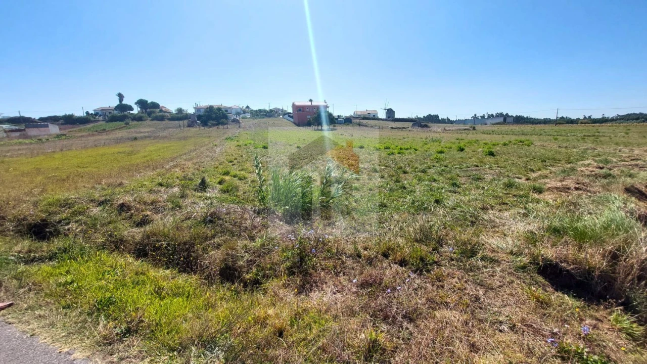 Terreno para Venda em Tornada e Salir do Porto Foto 12