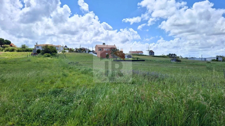 Terreno para Venda em Tornada e Salir do Porto