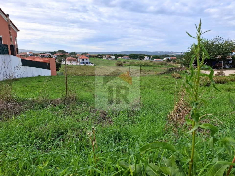 Terreno para Venda em Tornada e Salir do Porto Foto 11