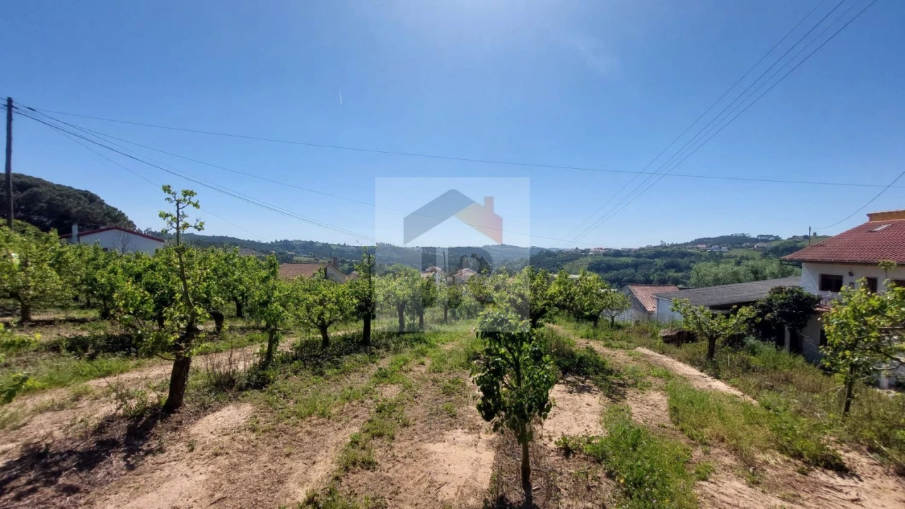 Terreno para Venda em Alvorninha Foto 11