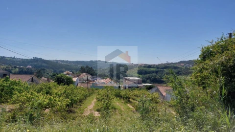 Terreno para Venda em Alvorninha