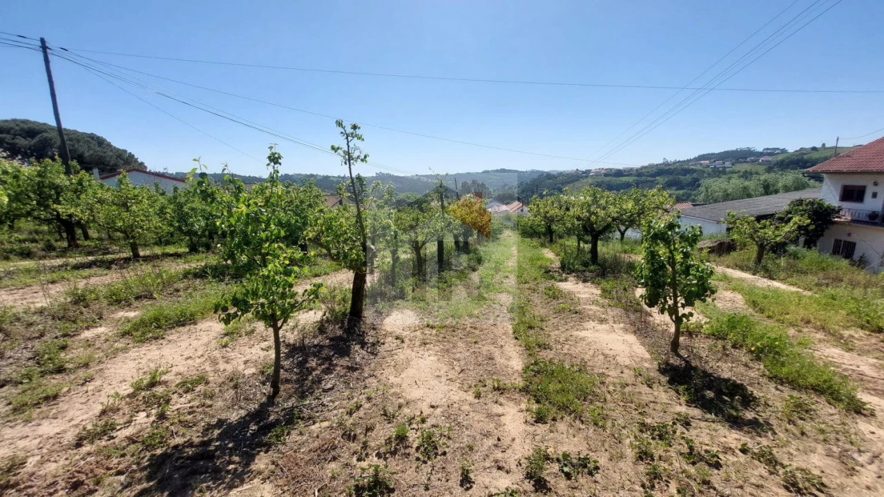 Terreno para Venda em Alvorninha Foto 18