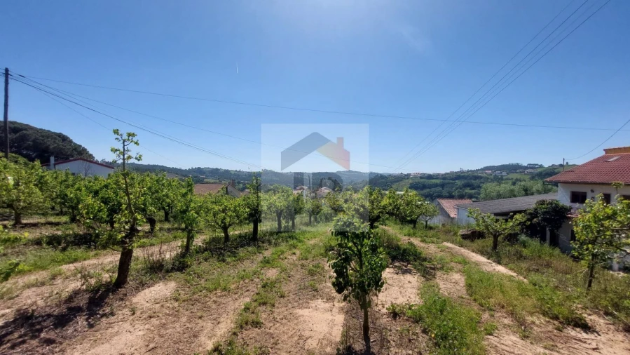 Terreno para Venda em Alvorninha Foto 11