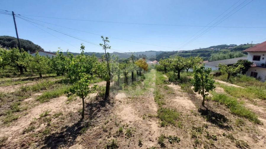 Terreno para Venda em Alvorninha Foto 18