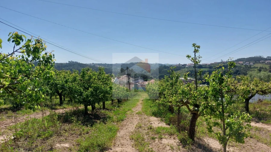 Terreno para Venda em Alvorninha Foto 19