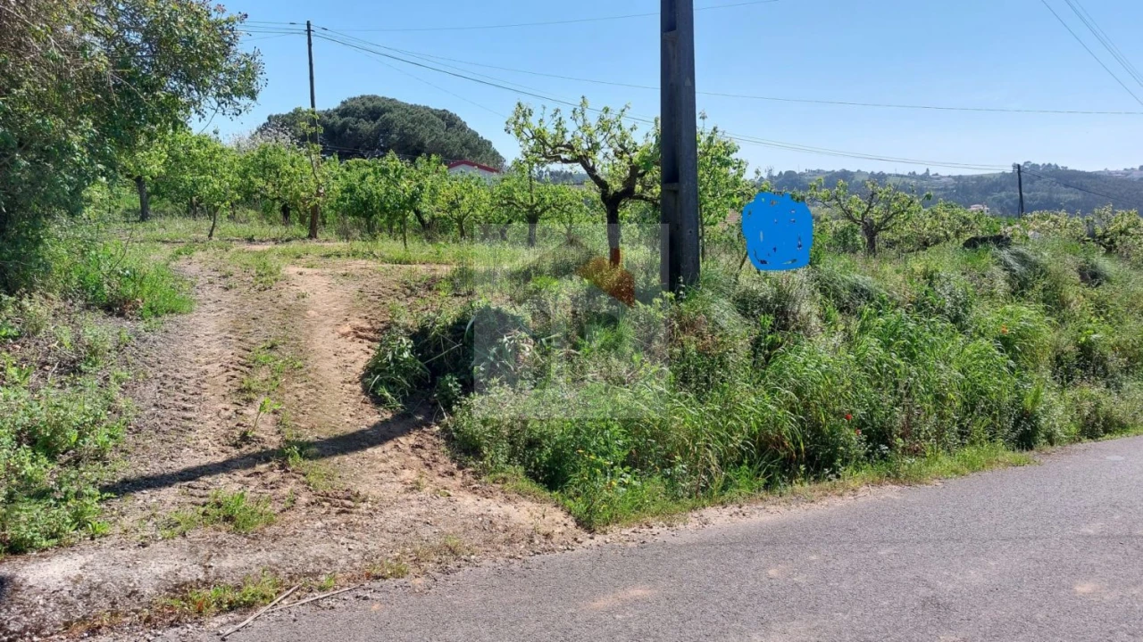 Terreno para Venda em Alvorninha Foto 20