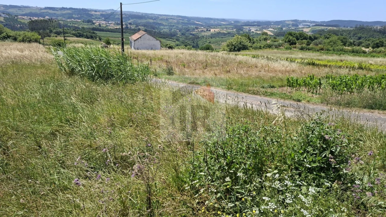 Terreno para Venda em Nossa Senhora do Pópulo, Coto e São Gregório Foto 7