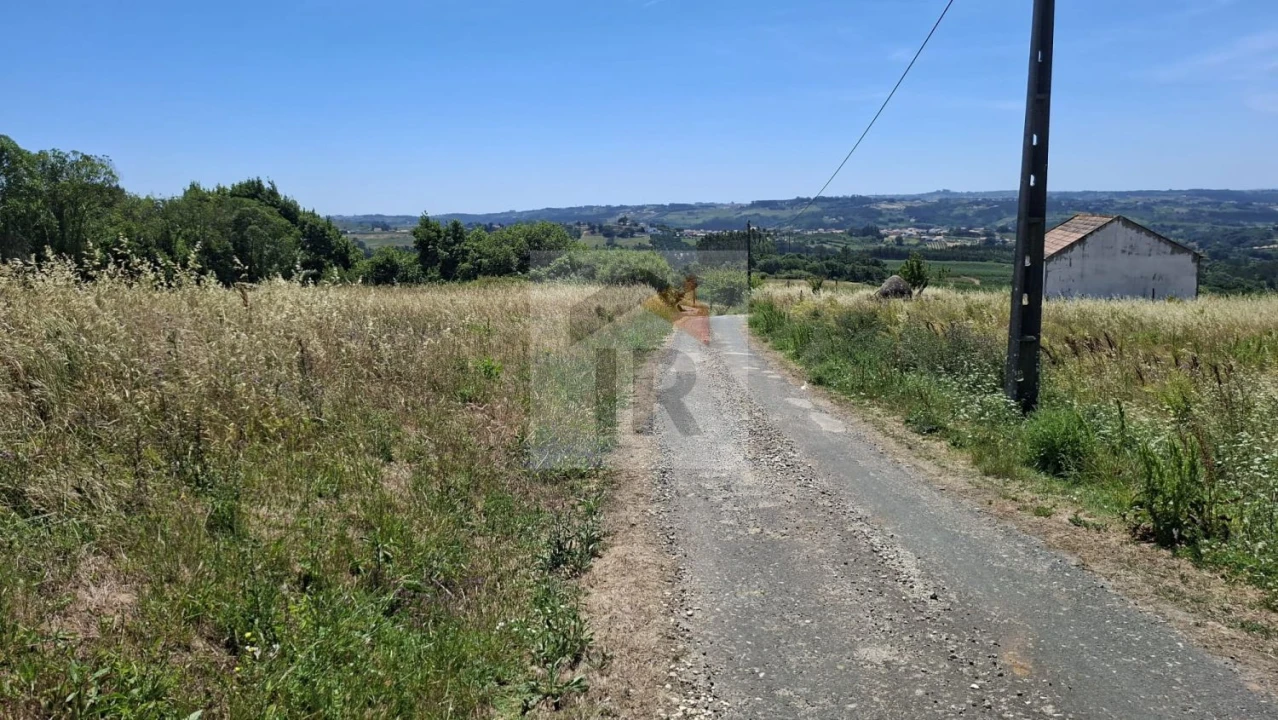 Terreno para Venda em Nossa Senhora do Pópulo, Coto e São Gregório Foto 4