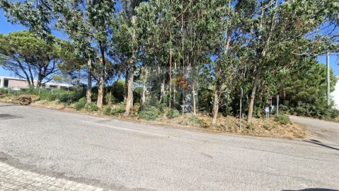 Terreno para Venda em Nadadouro