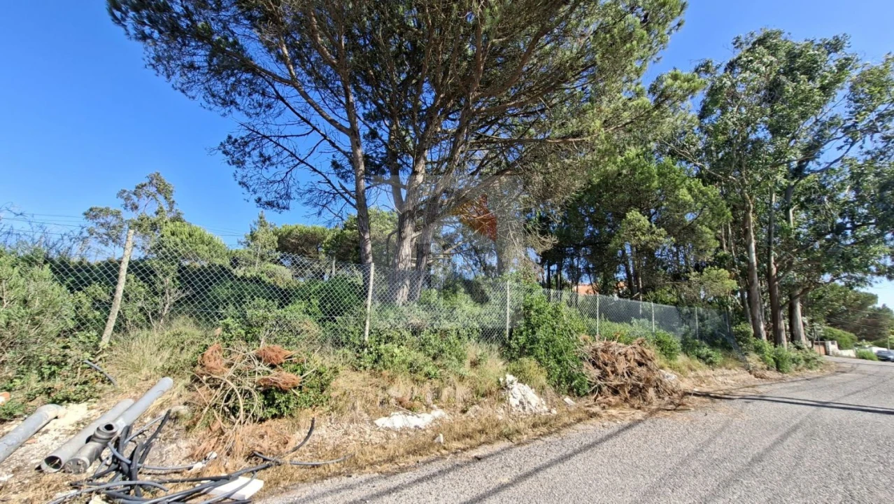 Terreno para Venda em Nadadouro Foto 3