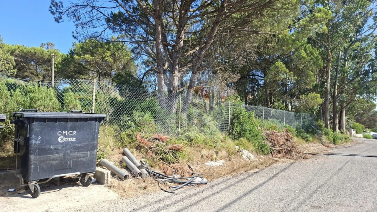 Terreno para Venda em Nadadouro Foto 6