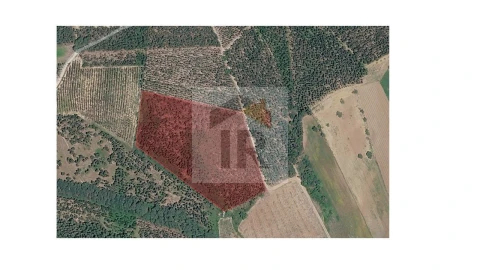 Terreno para Venda em Santa Maria, São Pedro e Sobral da Lagoa