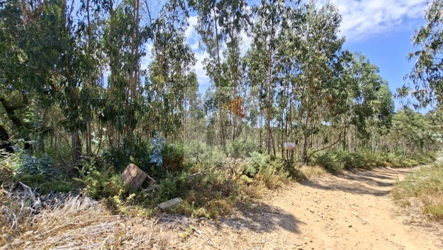 Terreno para Venda em Santa Maria, São Pedro e Sobral da Lagoa Foto 8