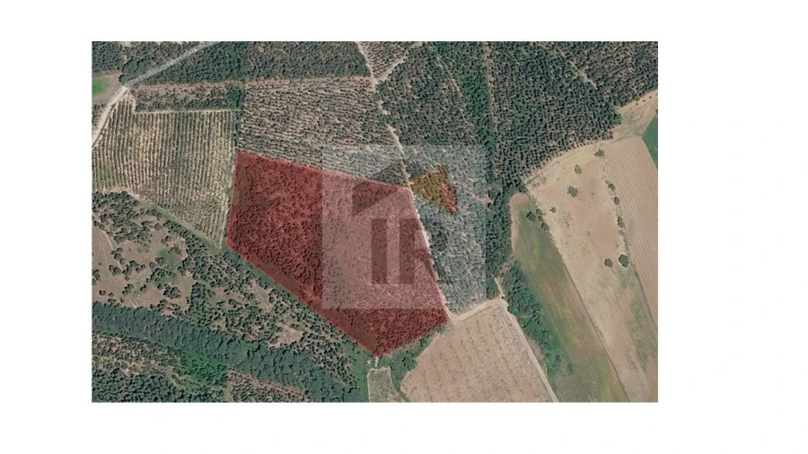 Terreno para Venda em Santa Maria, São Pedro e Sobral da Lagoa