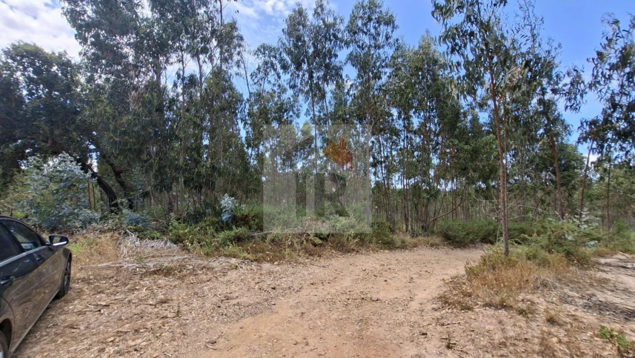 Terreno para Venda em Santa Maria, São Pedro e Sobral da Lagoa Foto 2