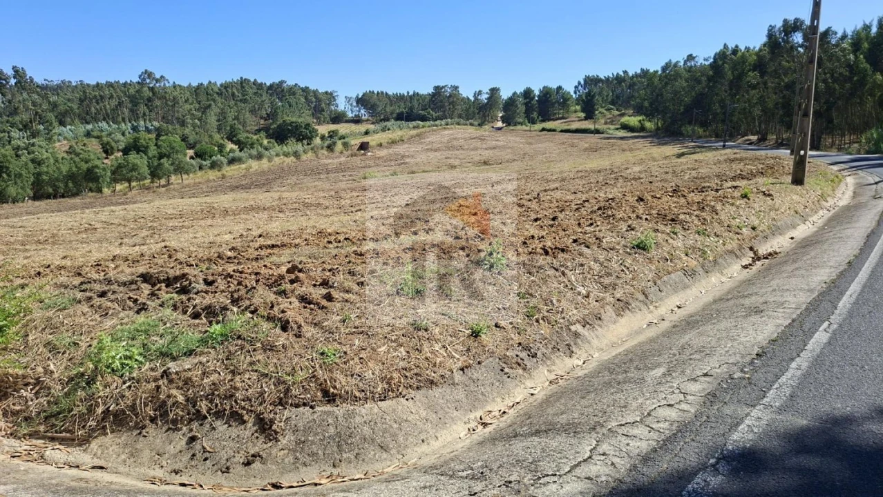 Terreno para Venda em Rio Maior Foto 1