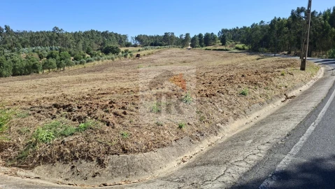 Terreno para Venda em Rio Maior