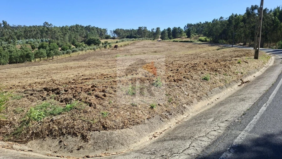 Terreno para Venda em Rio Maior