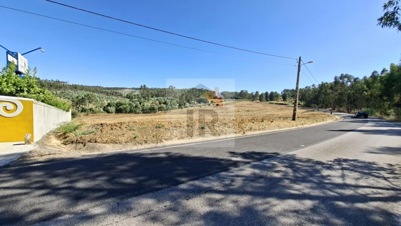 Terreno para Venda em Rio Maior Foto 6