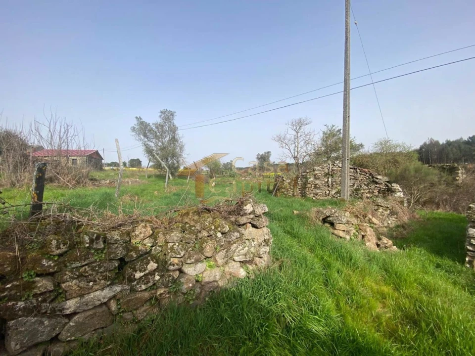 Moradia T3 para Venda em Mouçós e Lamares Foto 6